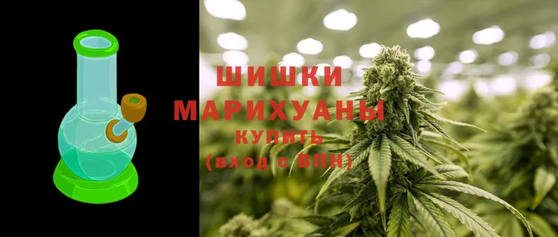 Конопля Ganja  Канаш 